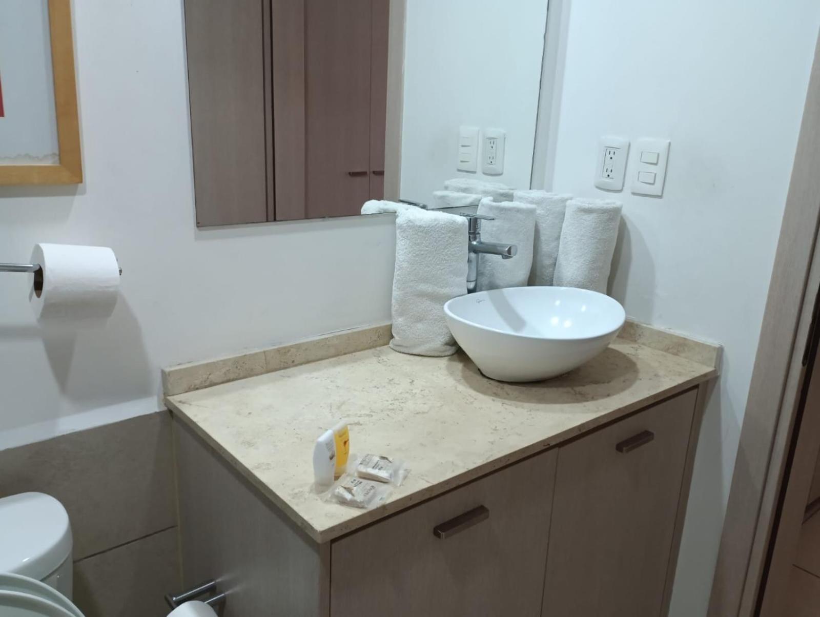 墨西哥城Carso Alameda Residenses公寓 外观 照片